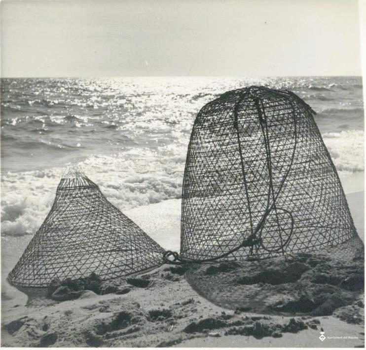 Nanses de pesca
