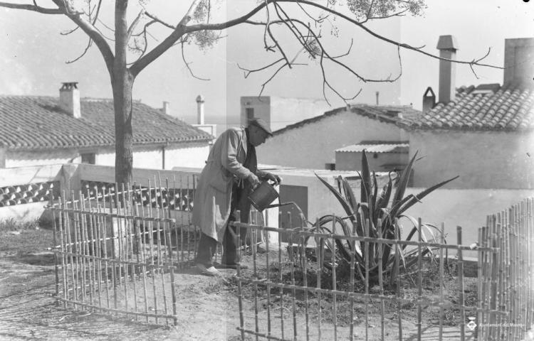 Un home regant una planta al carrer de la Caterra?