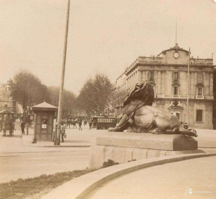 Lleó del monument de Colom, a Barcelona