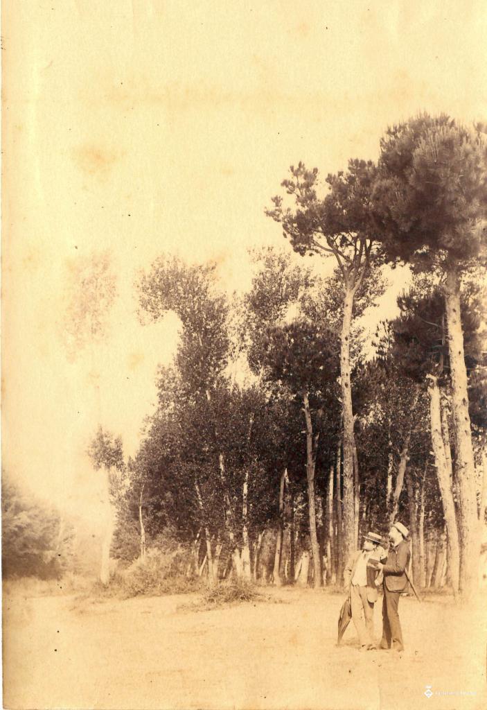 Homes al bosc a Montornès