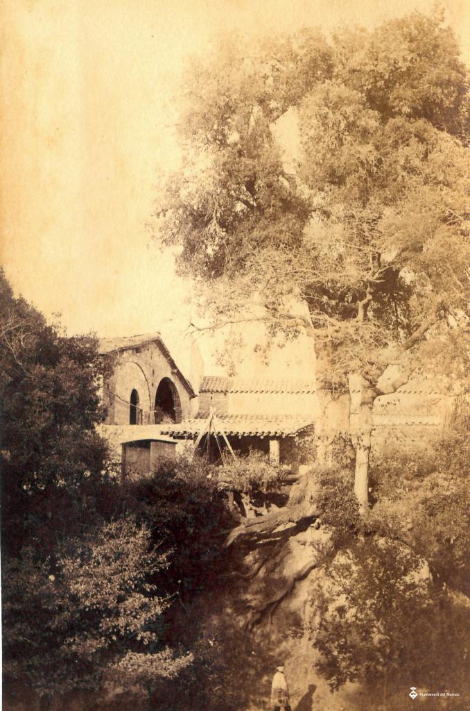 Arbre i casa a Montornès