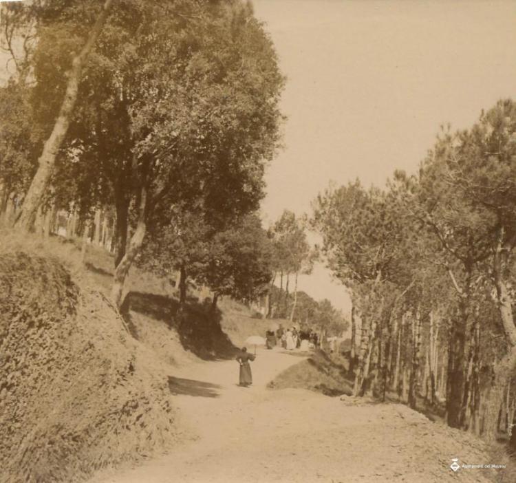 Gent passejant per un camí a Vallvidrera