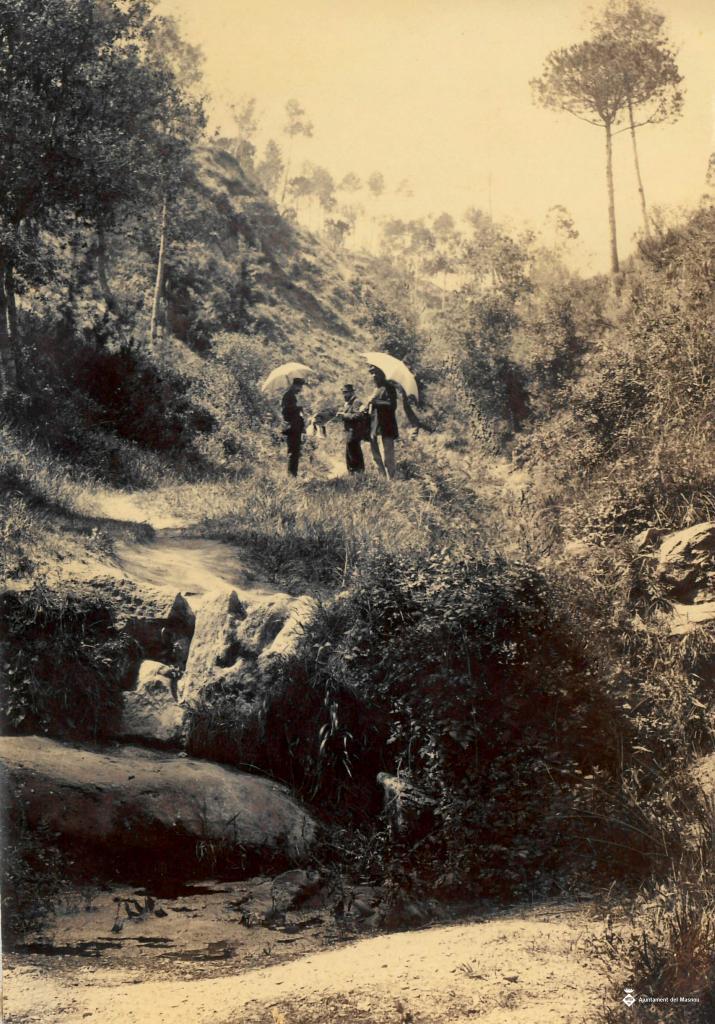 Gent passejant per un camí a Vallvidrera
