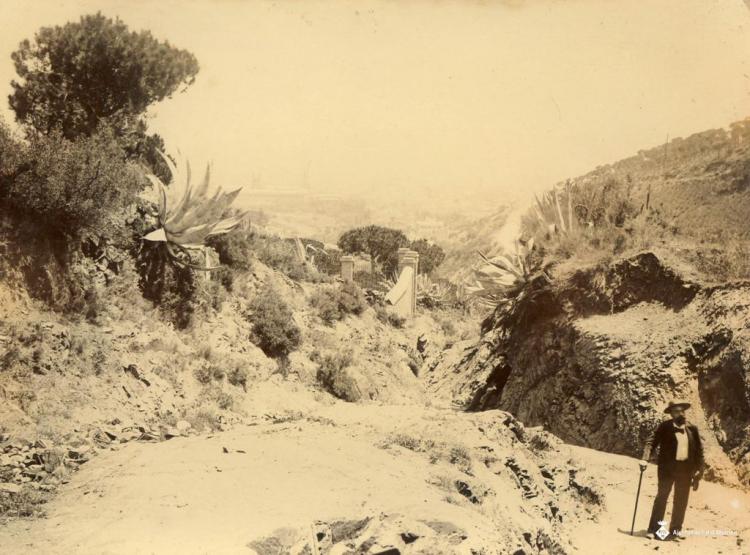Vista de Vallvidrera