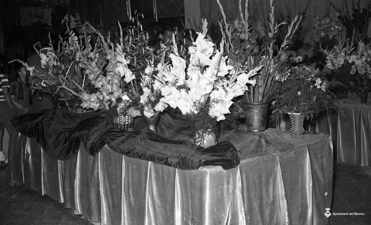 Fira de mostres a l'escola Ocata