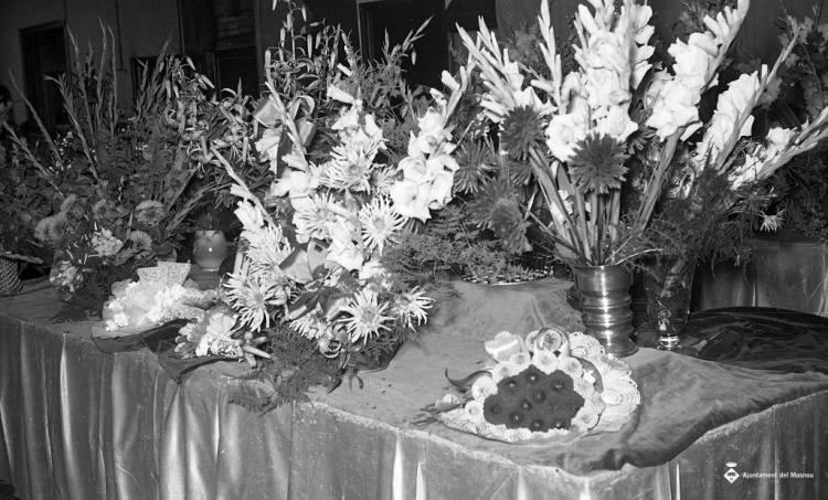 Fira de mostres a l'escola Ocata