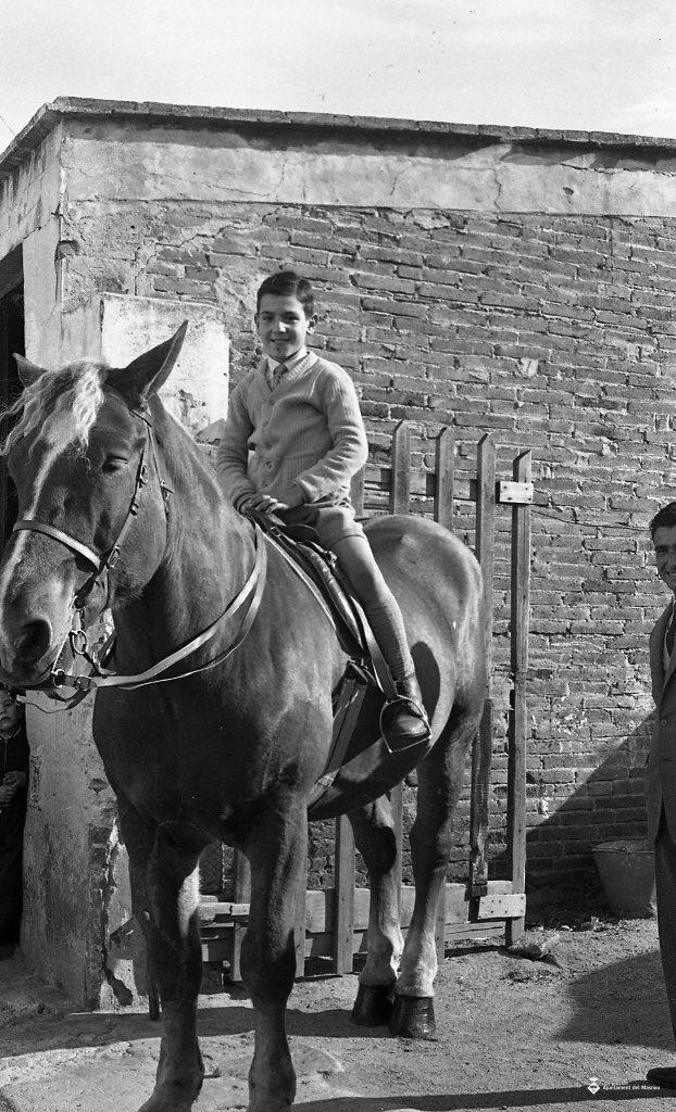 Festa de Sant Antoni (Tres tombs)