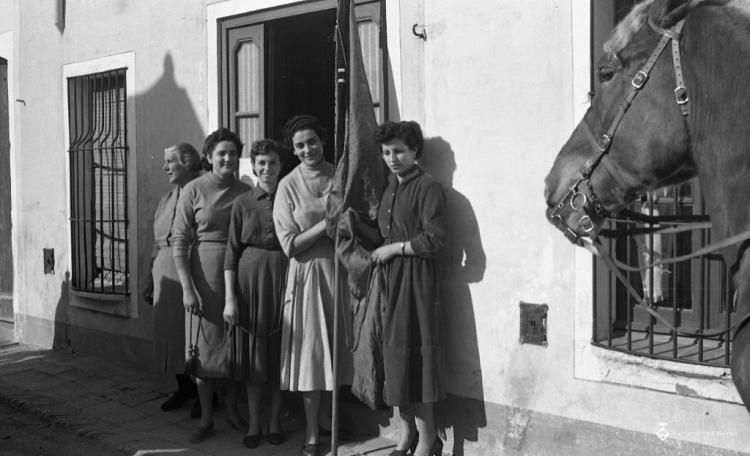 Festa de Sant Antoni (Tres tombs)