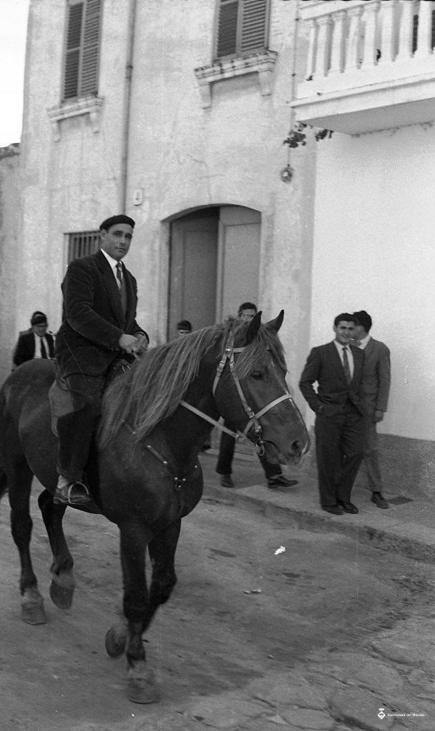 Festa de Sant Antoni (Tres tombs)