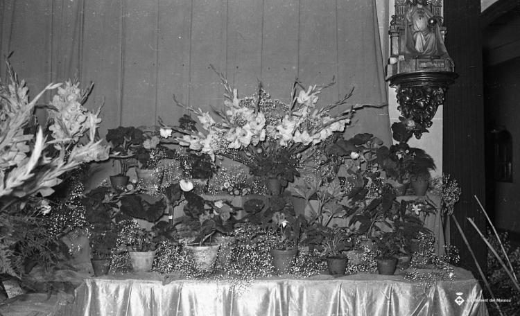 Festa Major, flors i fira de mostres