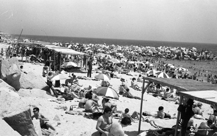 Banyistes a la platja