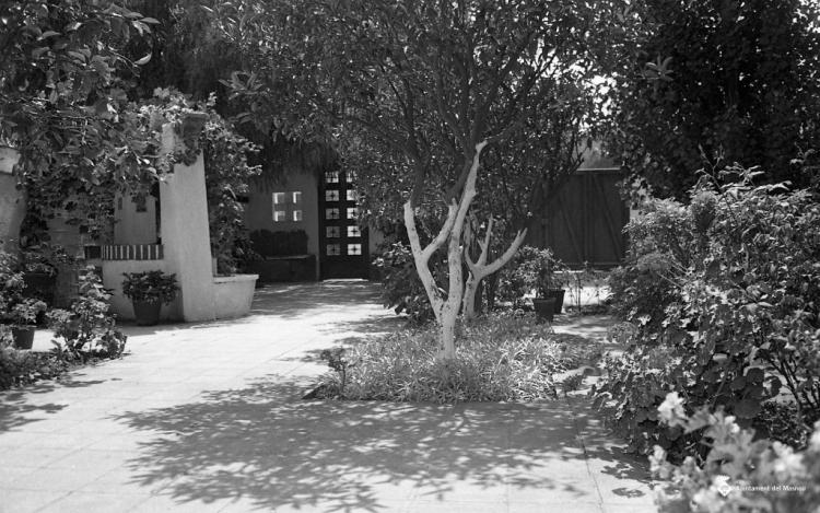Cau Tallat, de Joan Creus Balada