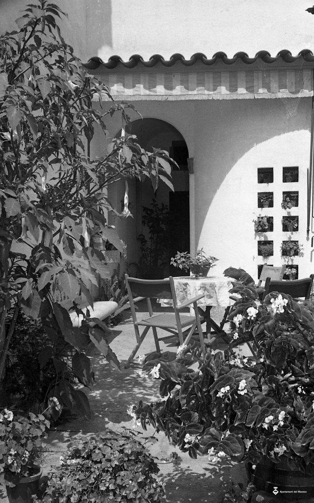 Cau Tallat, de Joan Creus Balada
