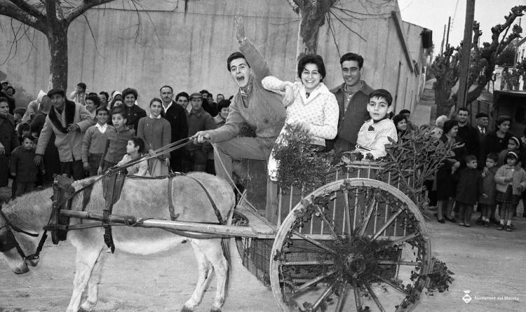 Festa de Sant Antoni (Tres Tombs)