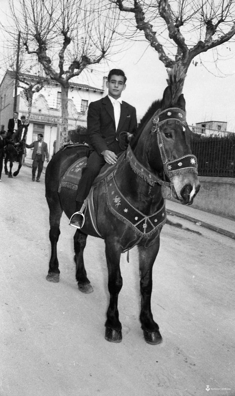 Festa de Sant Antoni (Tres Tombs)