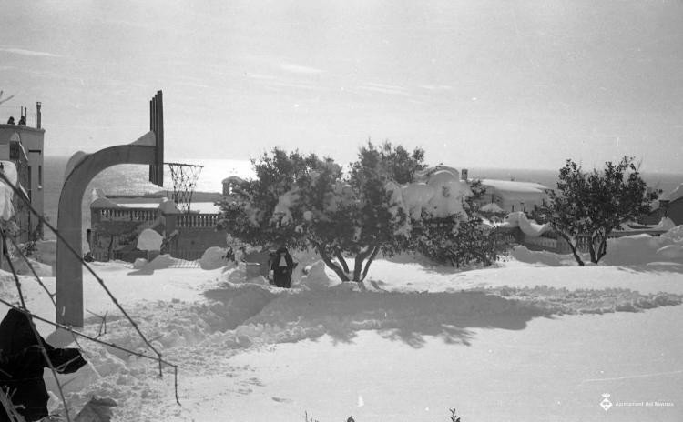 Nevada del 62