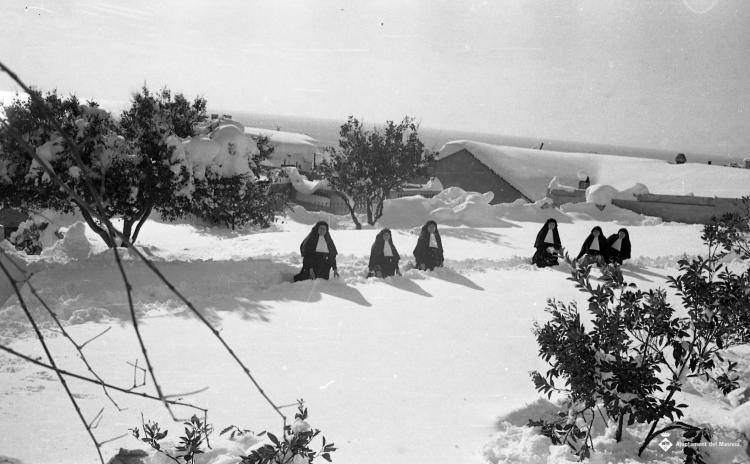 Nevada del 62