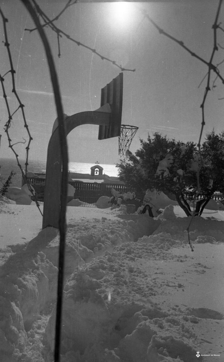 Nevada del 62