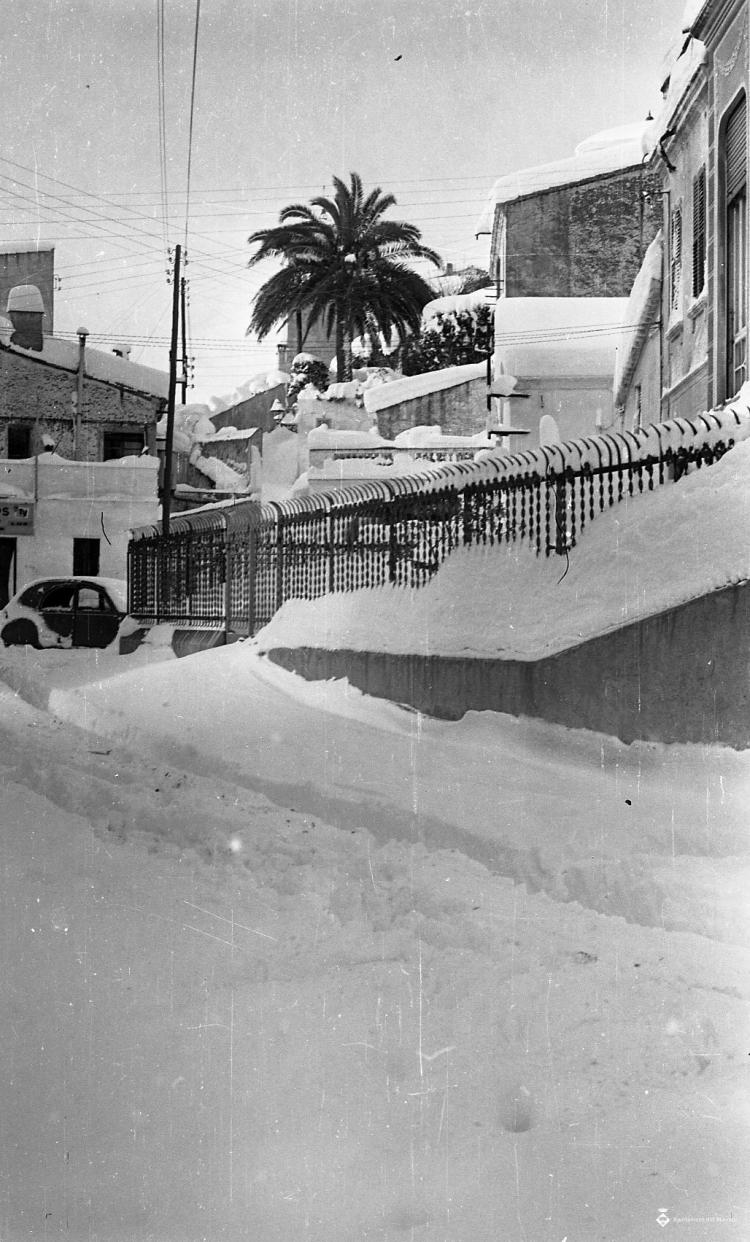 Nevada del 62