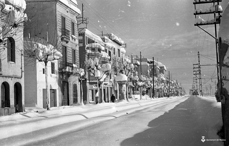 Nevada del 62