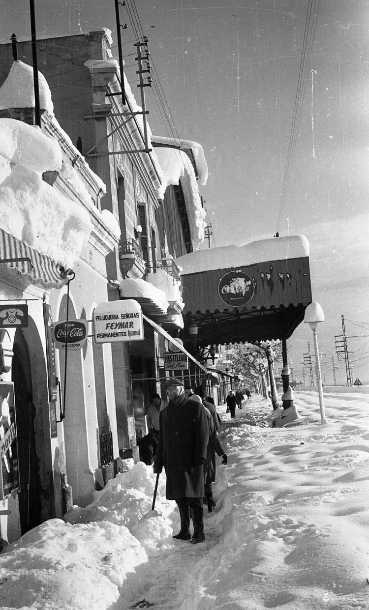 Nevada del 62