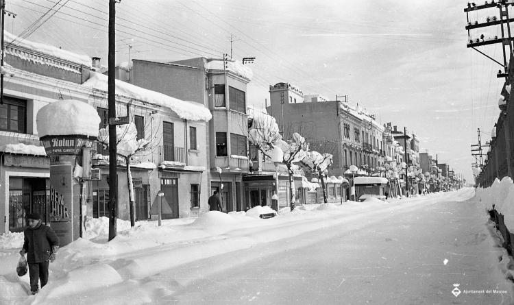 Nevada del 62