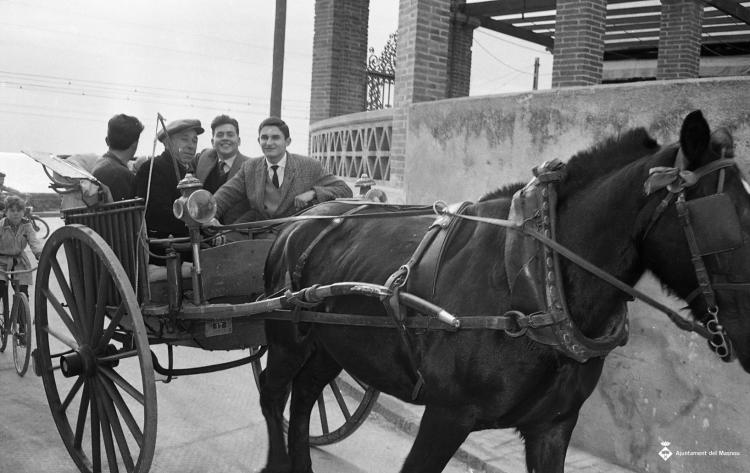 Festa de Sant Antoni (Tres Tombs)