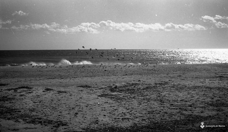Platja, façana marítima