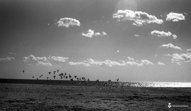 Platja, façana marítima