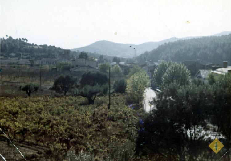 Vinyes de ca la Rafela i ca l'Anzí