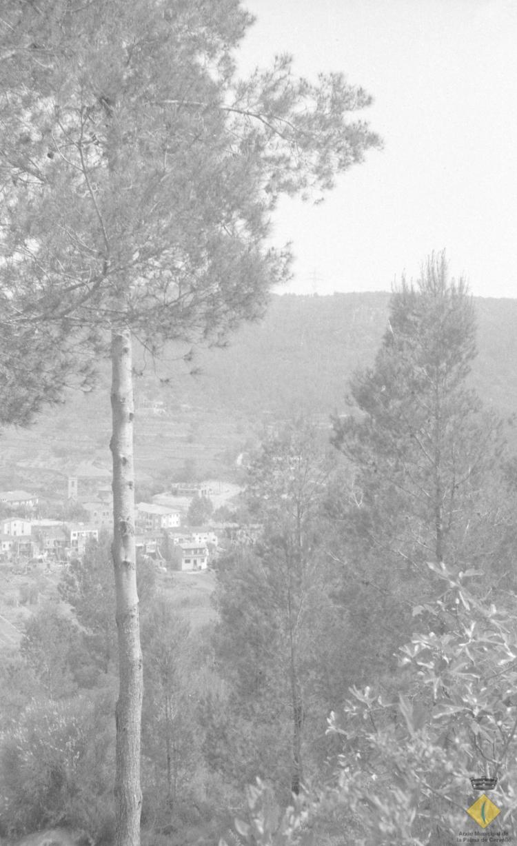 Vista general de la Palma de Cervelló
