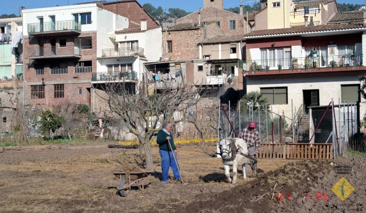 Homes llaurant l'hort amb un ruc