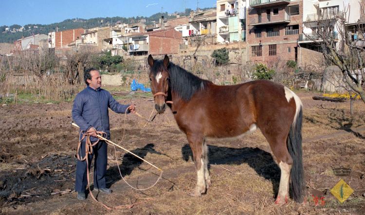 Home amb un cavall a l'hort
