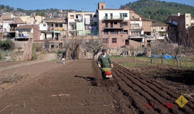 Un hortolà llaurant l'hort amb un motocultor