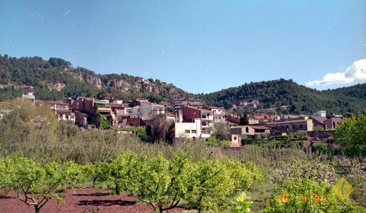Vista d'una part de la Palma de Cervelló