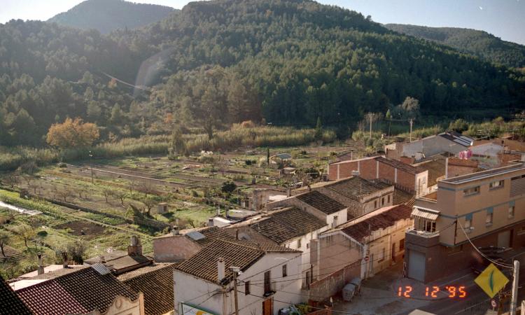 Vista dels horts i la riera de la Palma