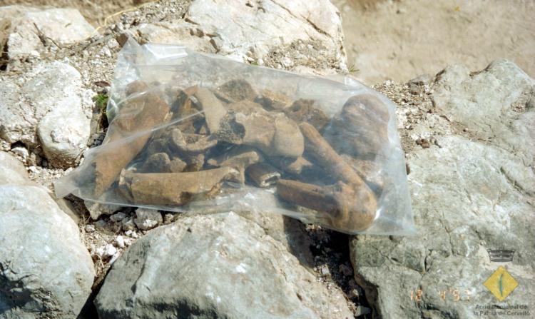 Excavació arqueològica a Sant Joan del Pla o de l'Erm