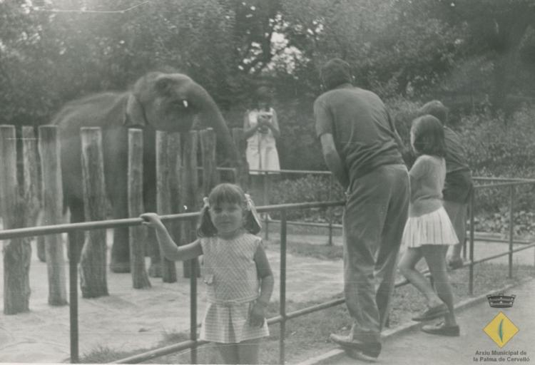 Rosa Ollé Planas al zoo de Barcelona davant un elefant