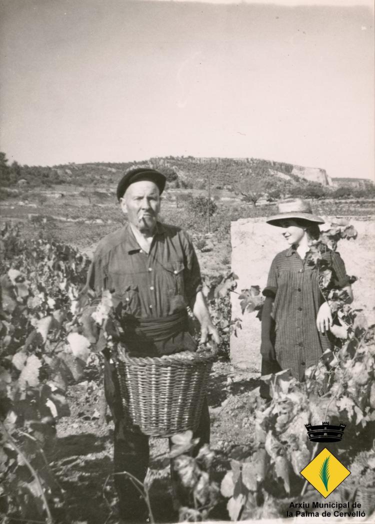 Pagesos fent la verema a la vinya de can Mascaró