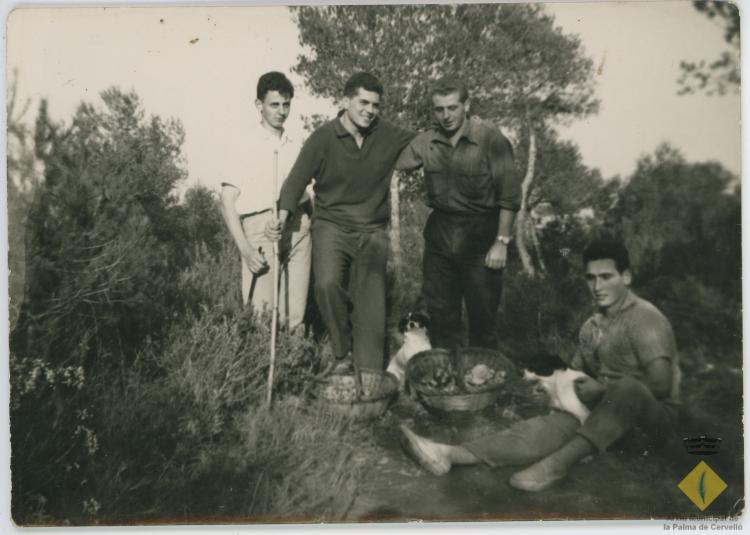 Grup d'amics en una excursió per anar a buscar bolets