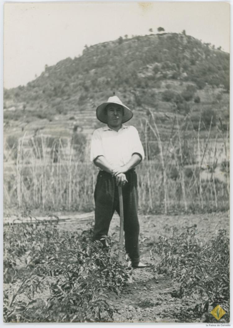 Josep Albertí a l'hort de darrera ca n'Iglésies