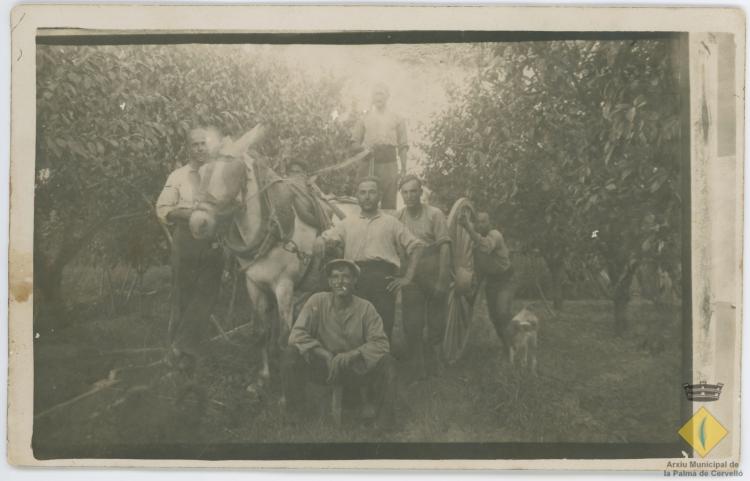 Grup de pagesos amb un carro enmig d'un camp d'arbres fruiters