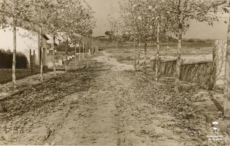 Carrer Jaume Petit a l'alçada de Sant Eudald