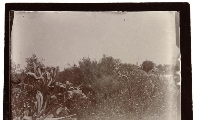 Paisatge amb masia al fons. S.l.