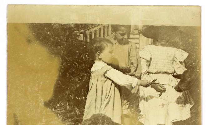 Infants. S.l.
