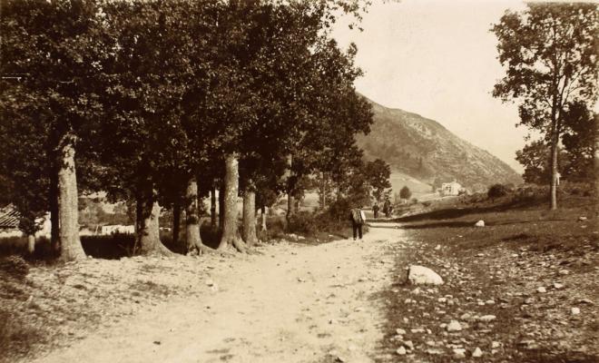 Camí. Paisatge rural. S.l.