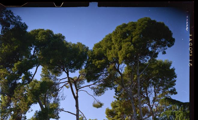 Façana del Palau de Pedralbes a Barcelona