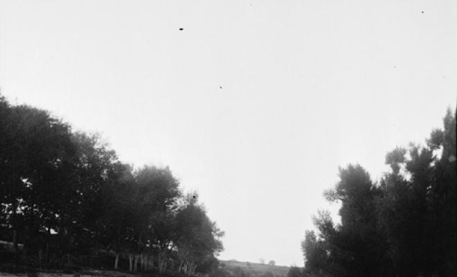 Riu