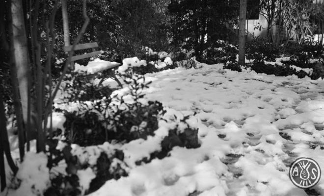 Nevada a Sabadell