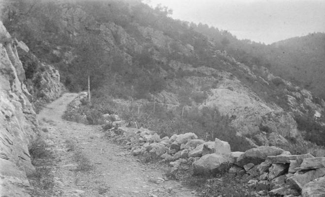 Camí